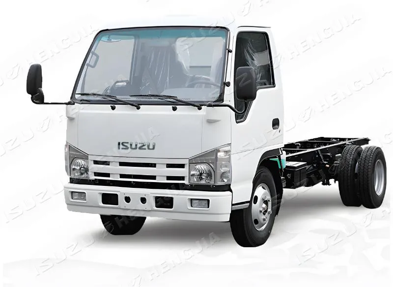 ISUZU NKR /100P