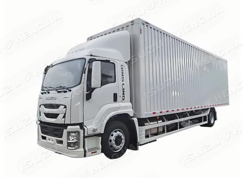4X2 GIGA VC66 Box Truck