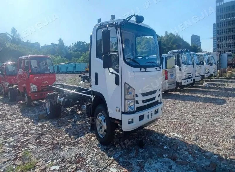 ISUZU NPR/700P