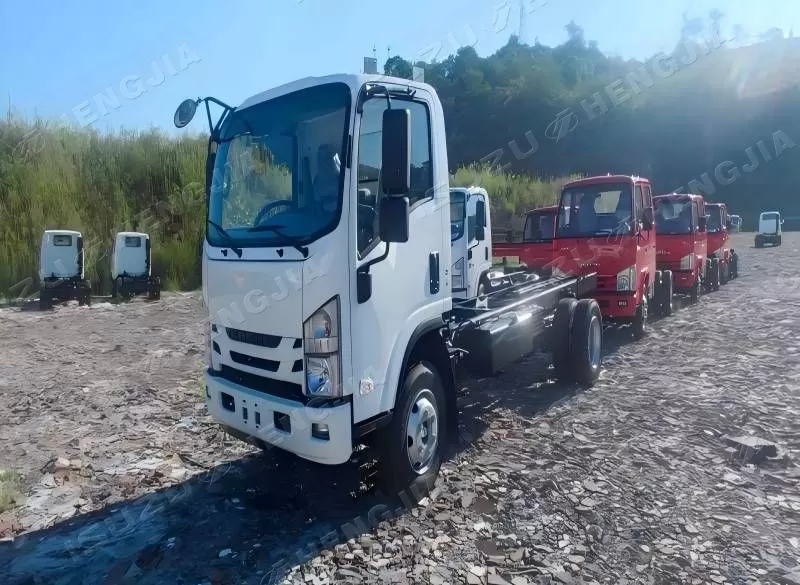 ISUZU NPR/700P
